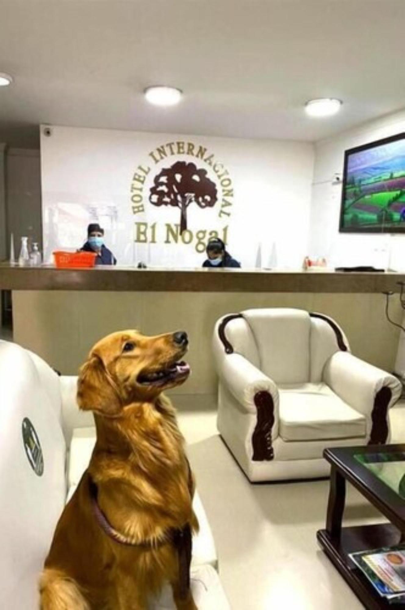 Internacional El Nogal Ipiales Hotel Екстериор снимка
